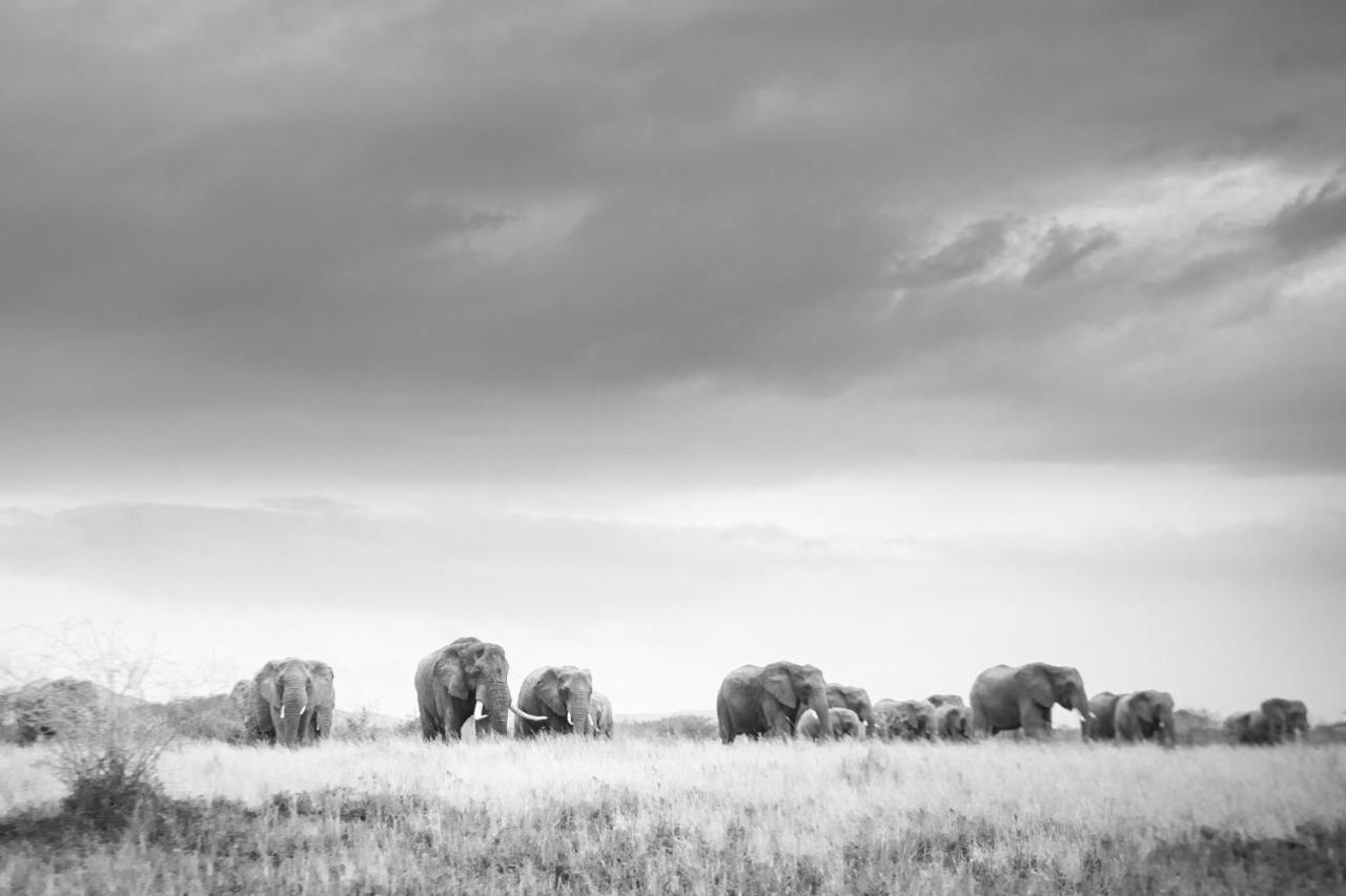 Rhino Sands Safari Camp Manyoni Private Game Reserve Buitenkant foto