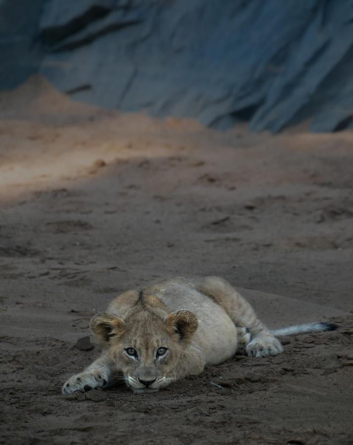 Rhino Sands Safari Camp Manyoni Private Game Reserve Buitenkant foto